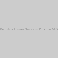 Image of Recombinant Borrelia Garinii rpsR Protein (aa 1-96)